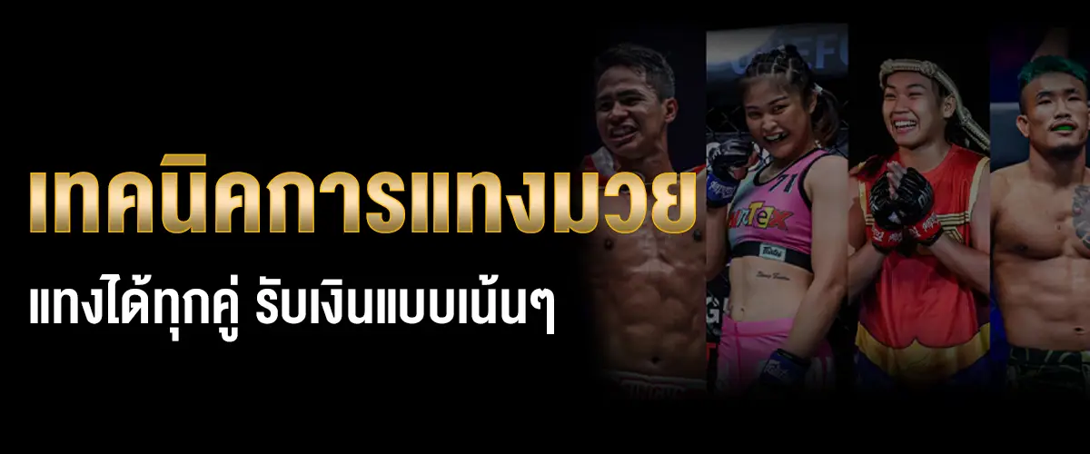 เทคนิคการแทงมวย