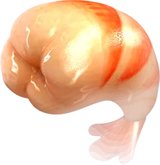 สัญลักษณ์ รูปกุ้ง