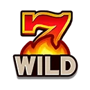สัญลักษณ์พิเศษ Wild