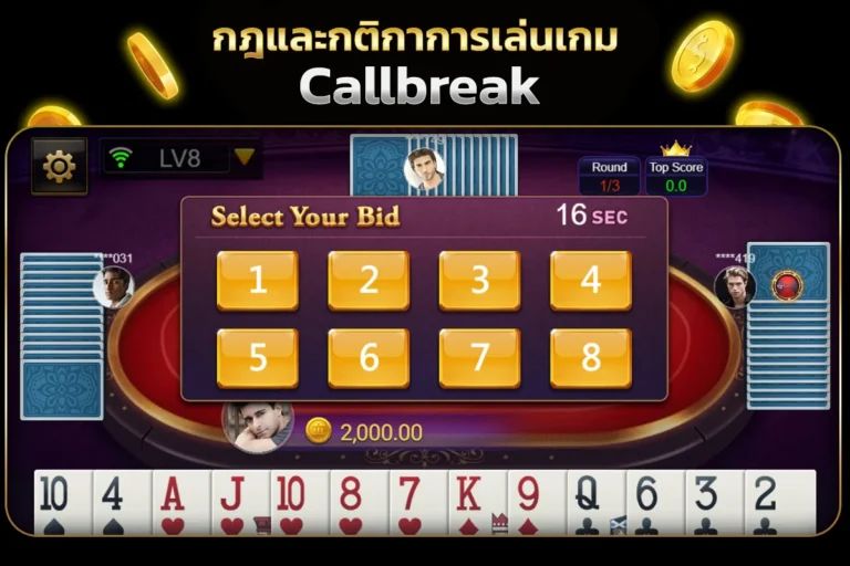 กฏและกติกาการเล่นเกม